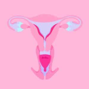 Hello Average Cervix Cup Position