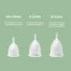 Allmatters menstrual cup sizing